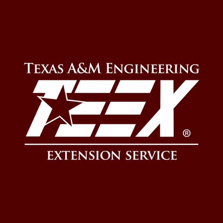 REVIEW: Texas A&M Engineering Extension Service Human Trafficking FSA122 – 8.00 hours