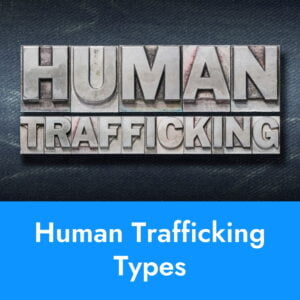 PBJ Learning: My Knowledge Vault: Human trafficking articles and resources: Types of Human Trafficking
