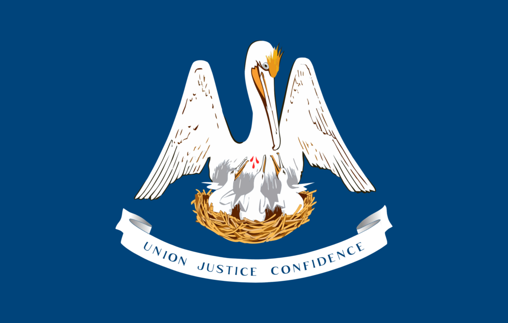 American State Flag - Louisiana