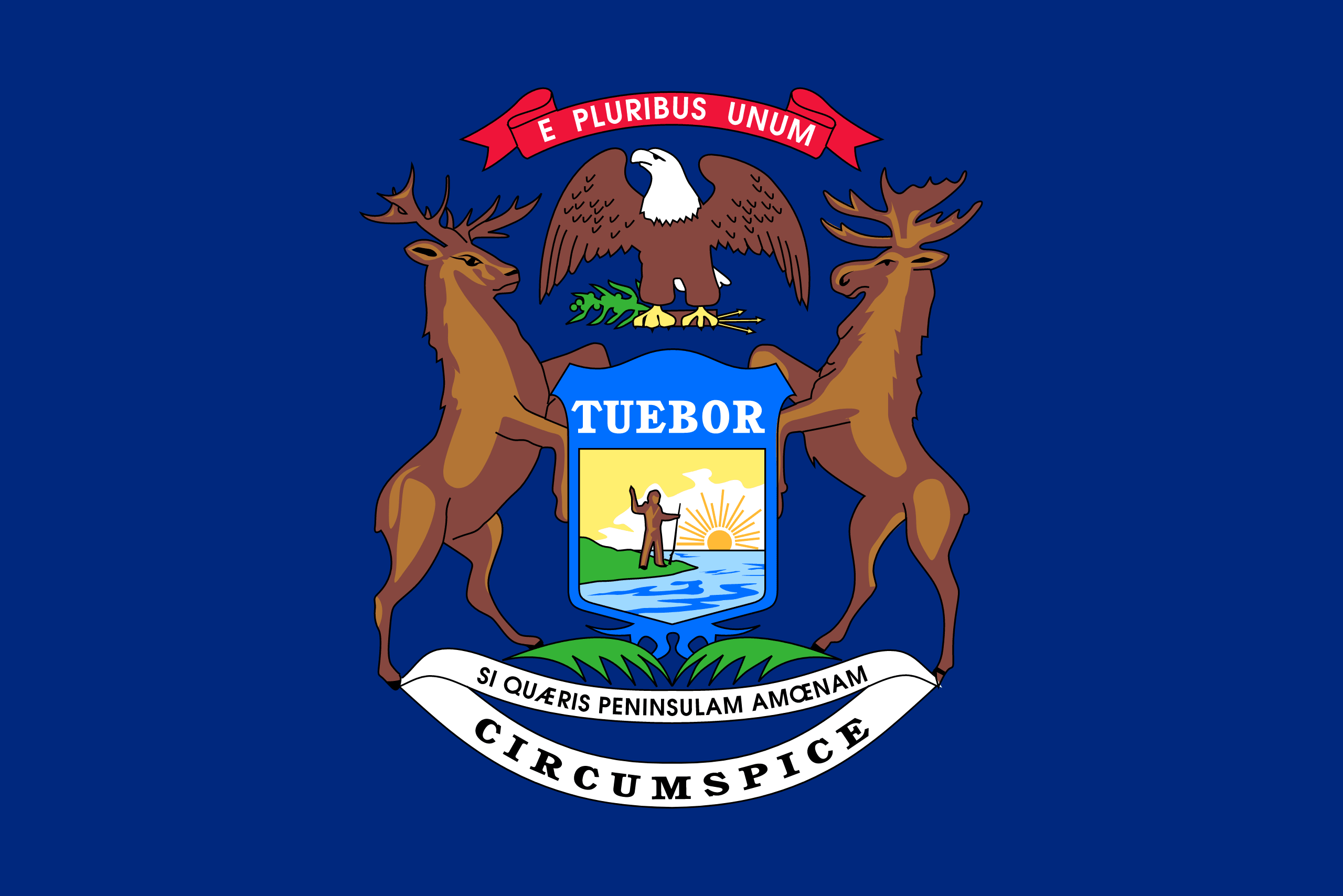 American State Flag - Michigan