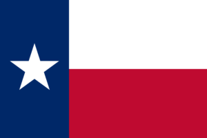 American State Flag - Texas tx