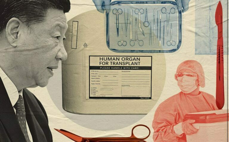 Is British science aiding and abetting the Chinese human organ trade? From the Telegraph