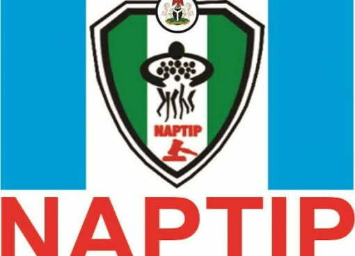 Trafficking: NAPTIP closes – in on tour operators, travel agents – PM News Nigeria
