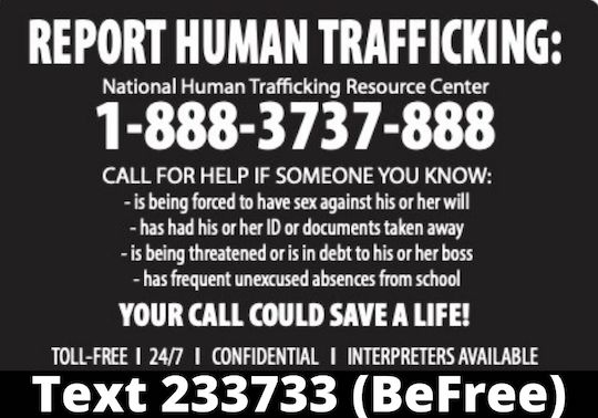 Libraries post human trafficking info – Chadds Ford Live