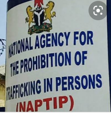 NAPTIP deepens partnership with actors over use of technology in crime elimination