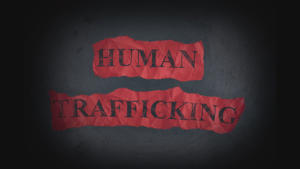 Human trafficking and finance crimes: How are they connected and what can be done?