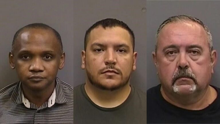 3 men, including former Pinellas Park fire lieutenant, charged with human trafficking