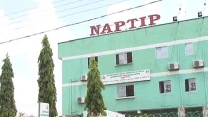 NAPTIP, police rescued nine victims of human trafficking in Kano: Official – Peoples Gazette