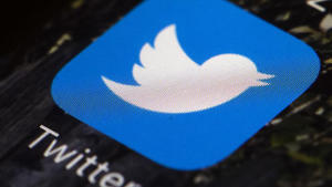 Dutch town loses case against Twitter over paedophilia conspiracy theories