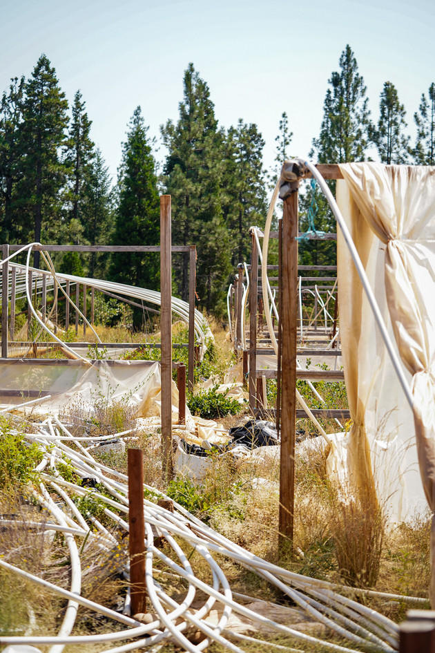The remains of hoop houses, consisting of destroyed tent and hoop materials, in an open field.