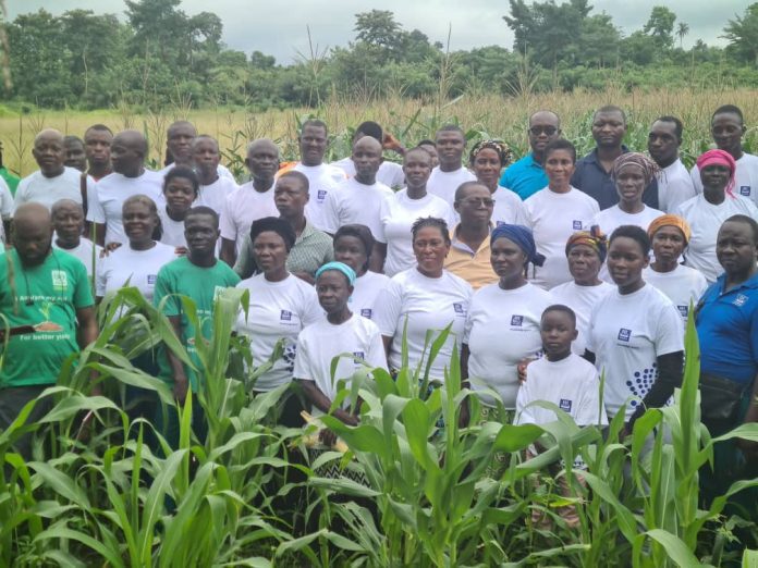 Kadjebi farmers sensitized on new agriculture techniques | News Ghana