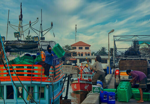 Thailand's fishery nightmare a global challenge – Big News Network.com