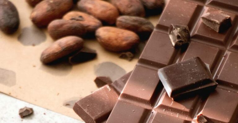 Fairtrade expands human rights requirements in updated Cocoa Standard