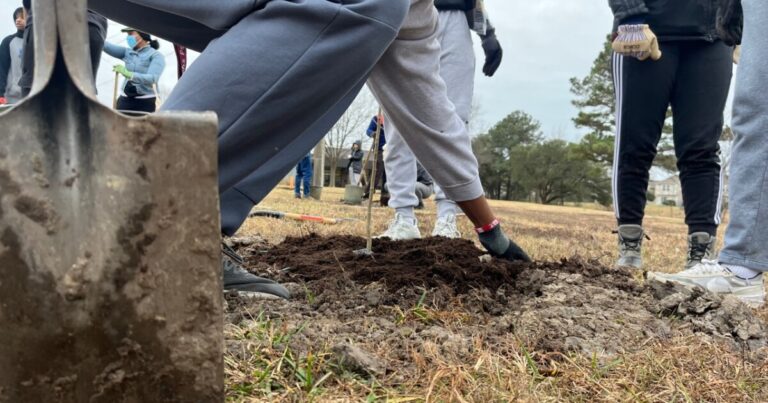 From gray to green: College students plant trees at future shelter for trafficked youth – WTKR