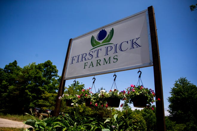 Lawsuit: West Michigan blueberry farm treated migrant workers unfairly
